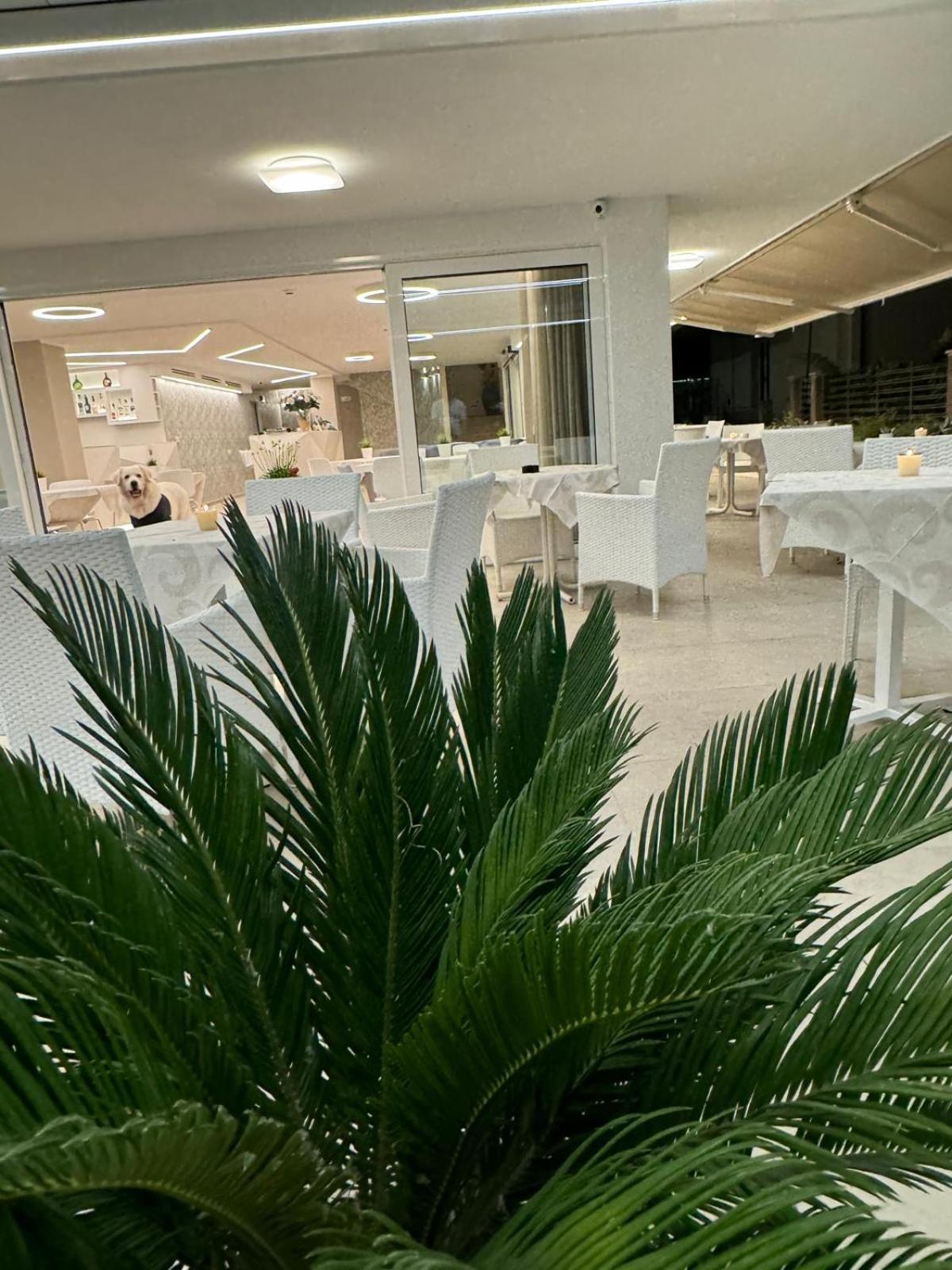 San Domingo Hotel 3*